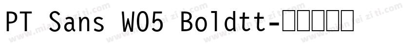 PT Sans W05 Boldtt字体转换